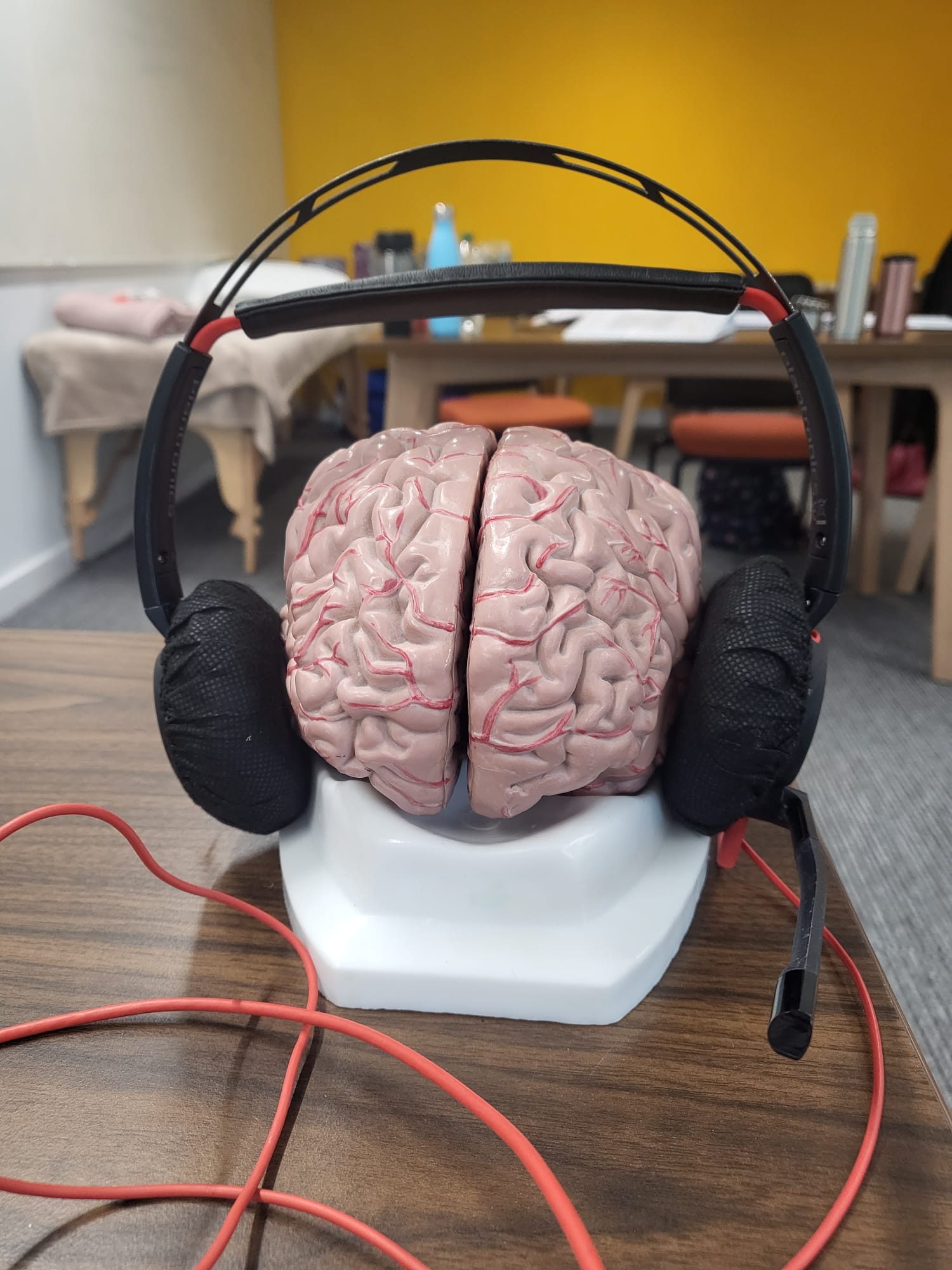 A brain wearing headphones!